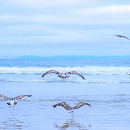 Eindeloos - 1 Double