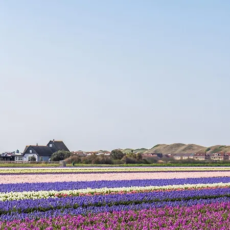 Eindeloos - 1 Double Kro 't Zand